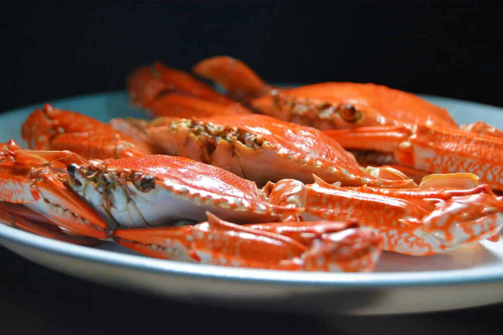 Cara Membersihkan Kepiting: Panduan Lengkap untuk Hasil Sempurna