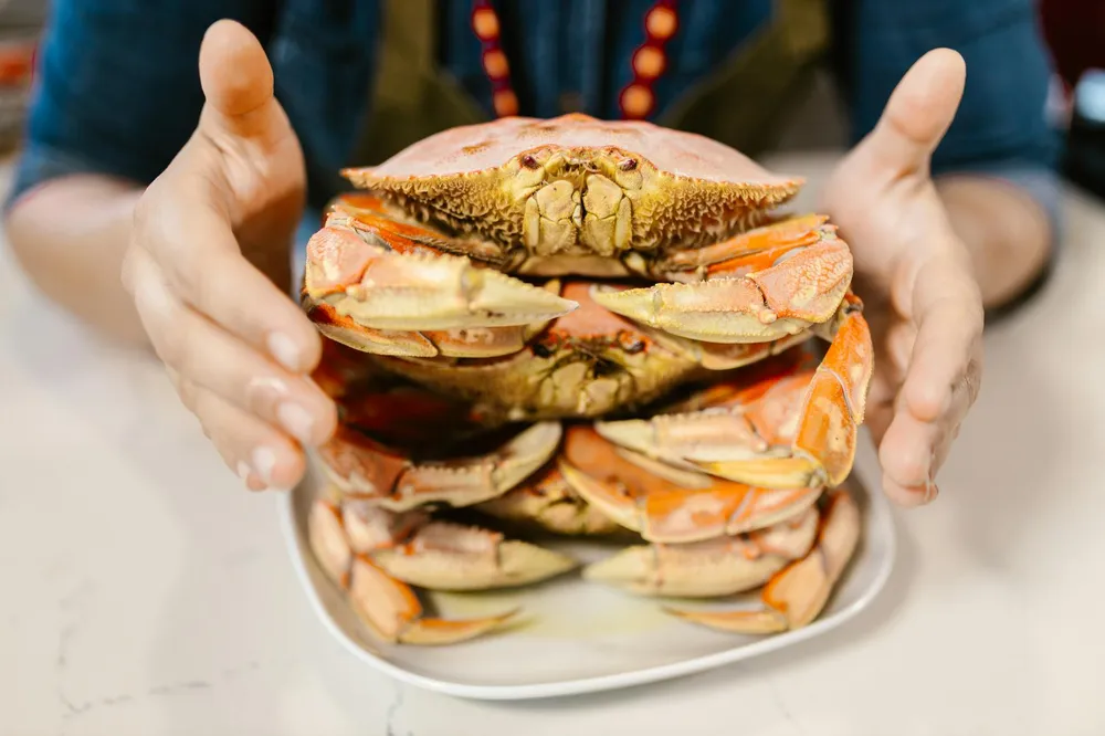 Cara Membersihkan Kepiting: Panduan Lengkap untuk Hasil Sempurna