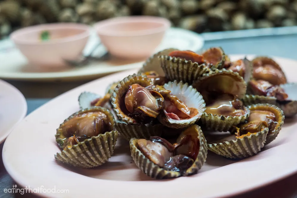 Kerang Dara: Si Mungil Kaya Gizi yang Wajib Anda Kenal