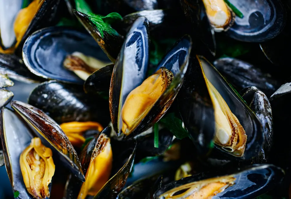 Kerang Hijau: Si Lezat dari Laut yang Penuh Kontroversi - Amankah untuk Kesehatan Anda?