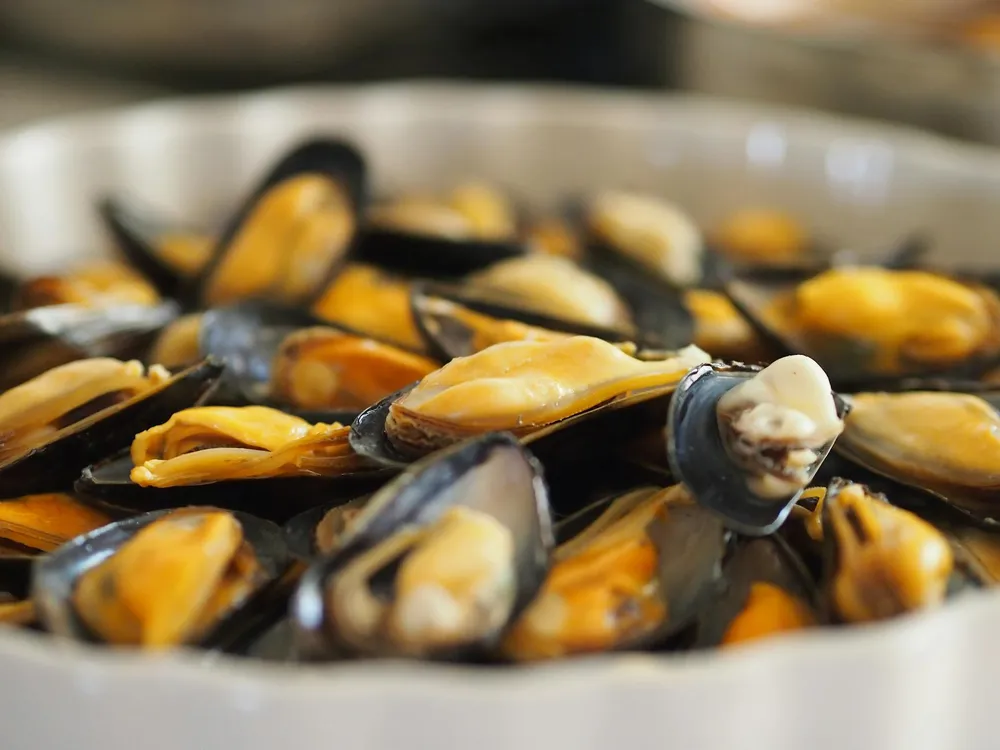 Kerang Hijau: Si Lezat dari Laut yang Penuh Kontroversi - Amankah untuk Kesehatan Anda?