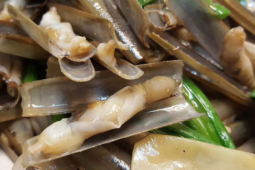 Kerang Bambu: Harta Karun Laut Indonesia yang Kaya Manfaat dan Cita Rasa