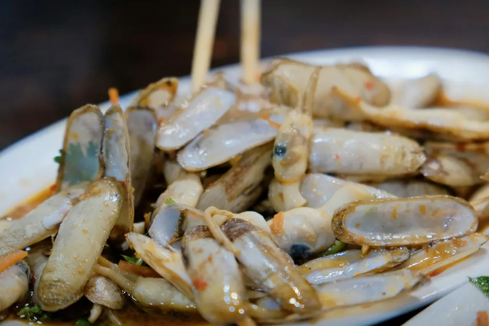 Kerang Bambu: Harta Karun Laut Indonesia yang Kaya Manfaat dan Cita Rasa