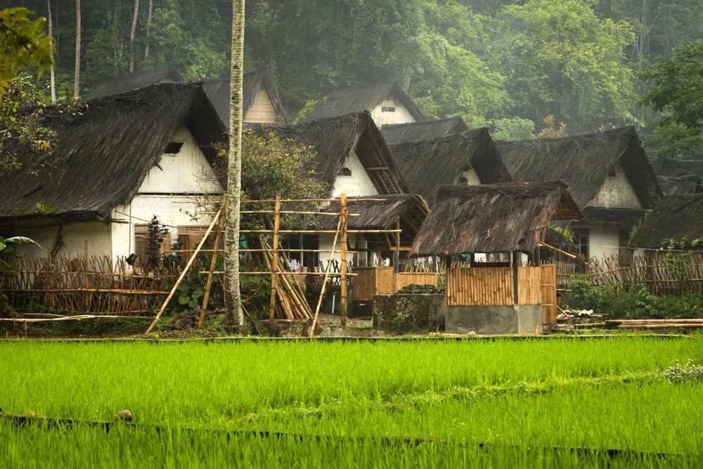 15 Usaha yang Menjanjikan di Desa 2025: Peluang Emas untuk Raih Cuan Jutaan